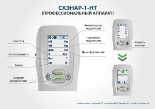 СКЭНАР-1-НТ (исполнение 01)  в Кинешме купить Медицинская техника - denasosteo.ru 